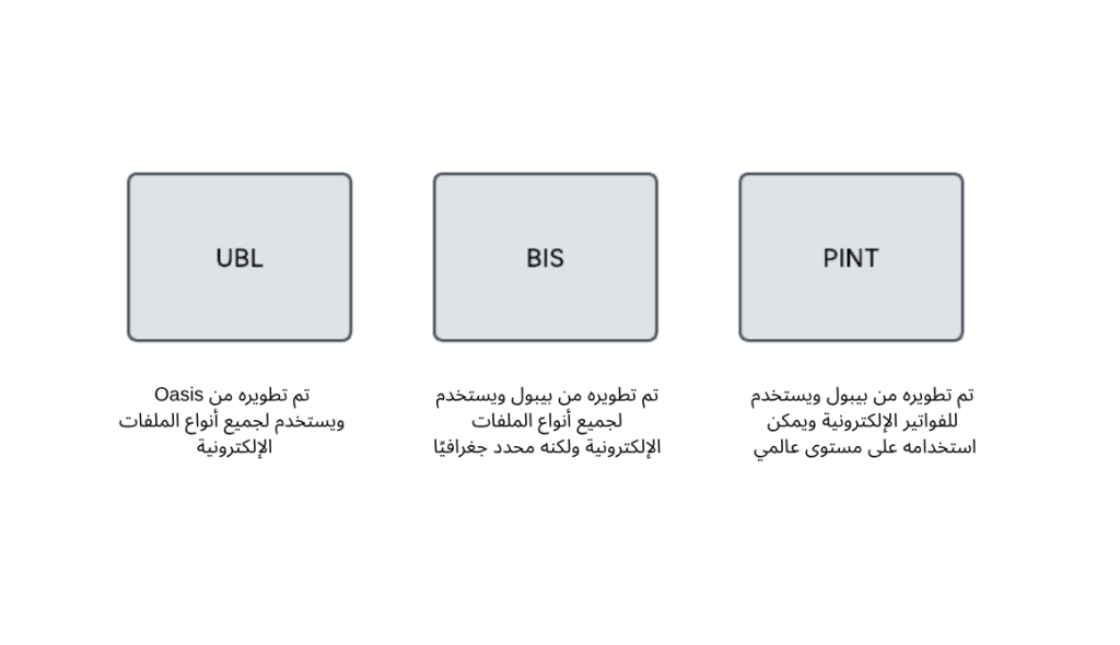 image بيبول CTC ونموذج الأركان الخمسة في الإمارات DCTCE